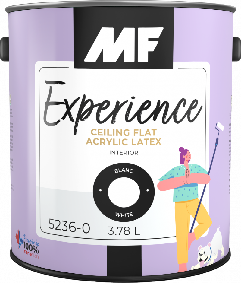 MF Paints Experience