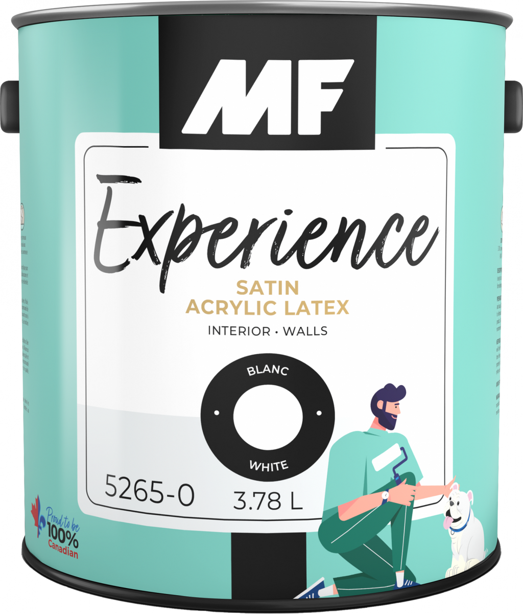 MF Paints Experience